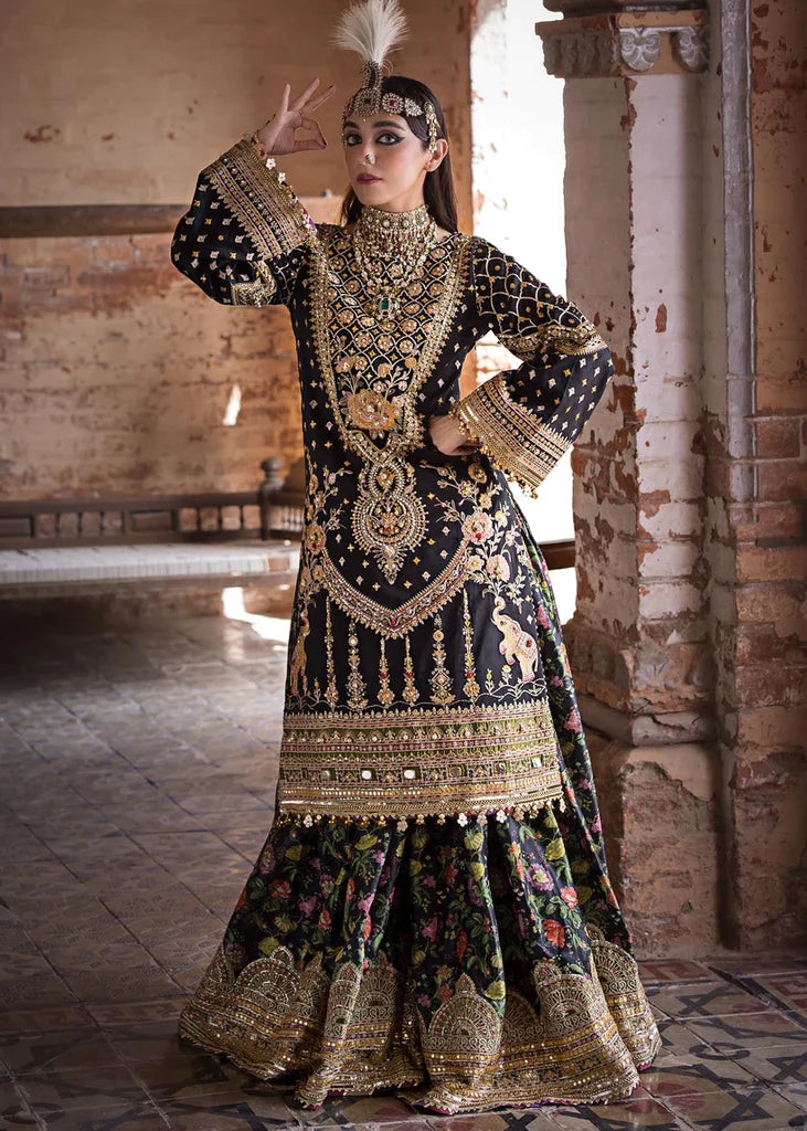 MNR | Zarlish | KOYAL