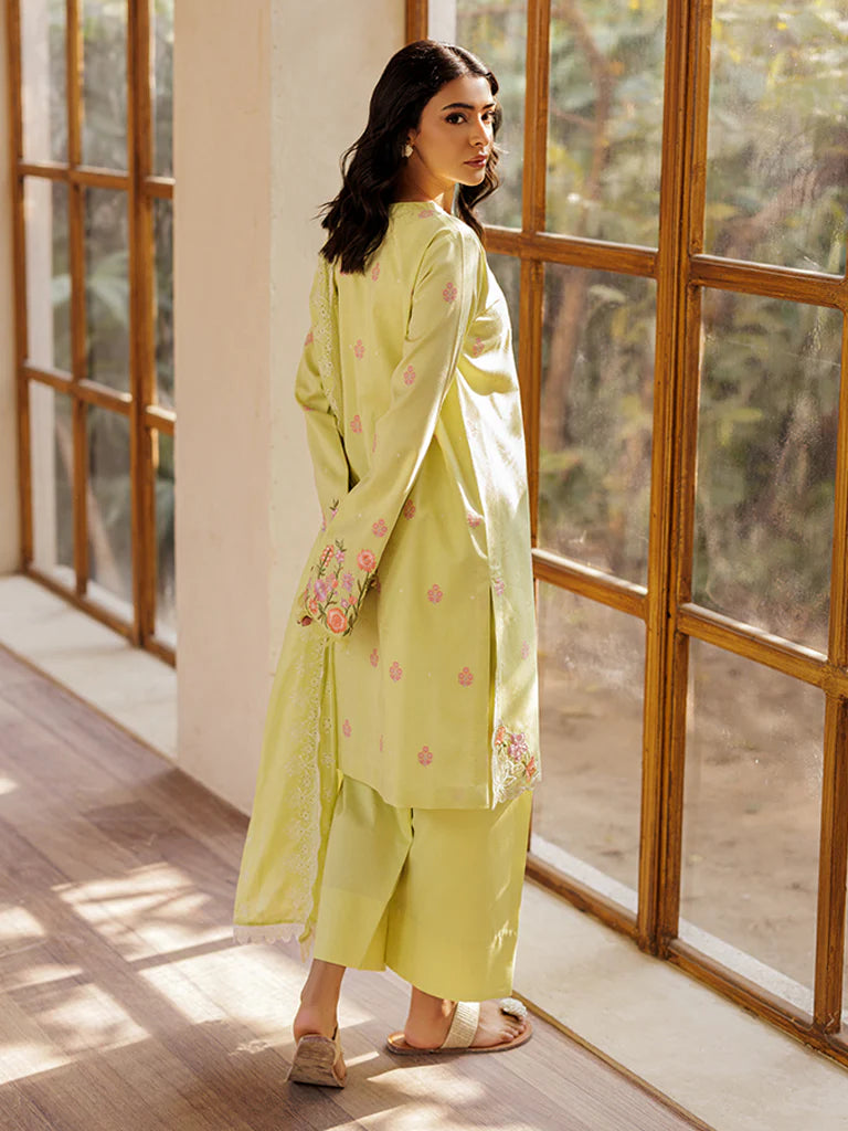 Raj Bari | Amari Jacquard | 08