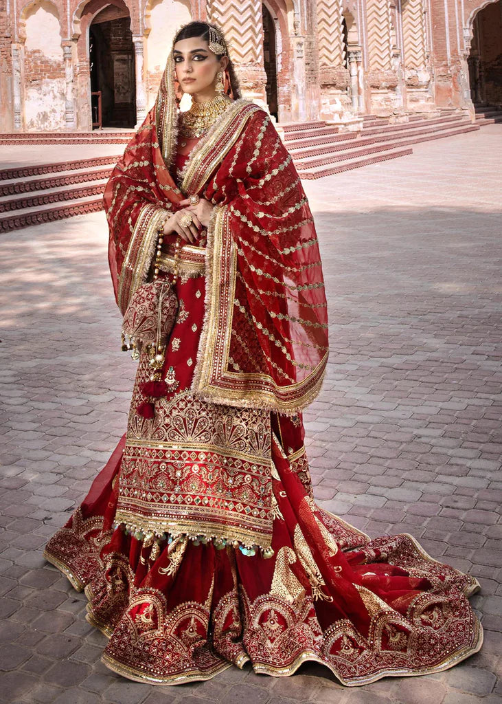 MNR | Zarlish | BIYA BEGUM