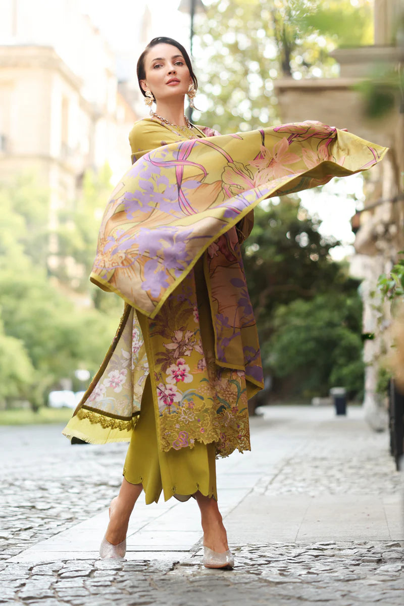 RANG RASIYA | Lifestyle Winter | Eva