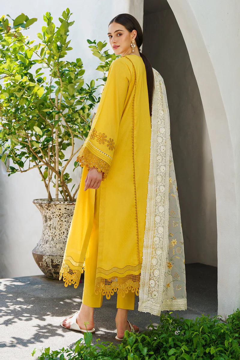 Baroque | Online exclusive lawn | UF-562
