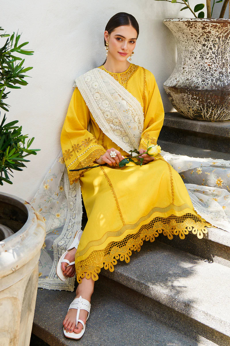 Baroque | Online exclusive lawn | UF-562
