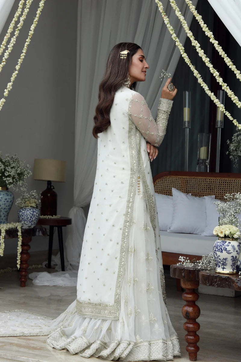 GULMINA | FESTIVE | AYRA