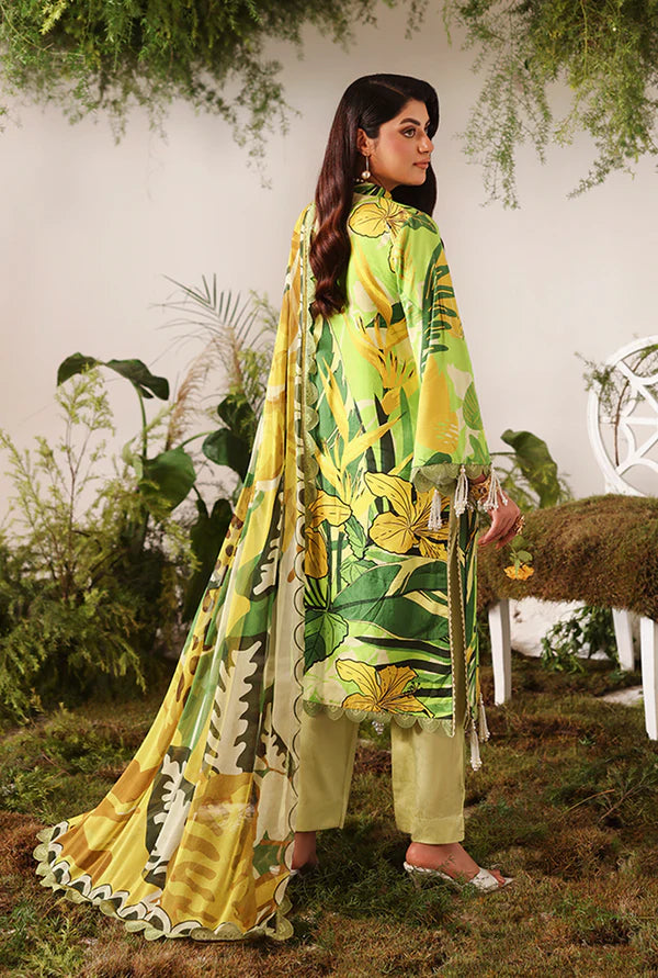 NAQSH | VISCOSE | Lime Peel