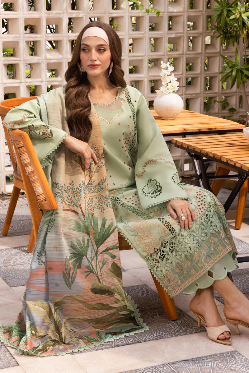 Rang Rasia | Carnation | Areha