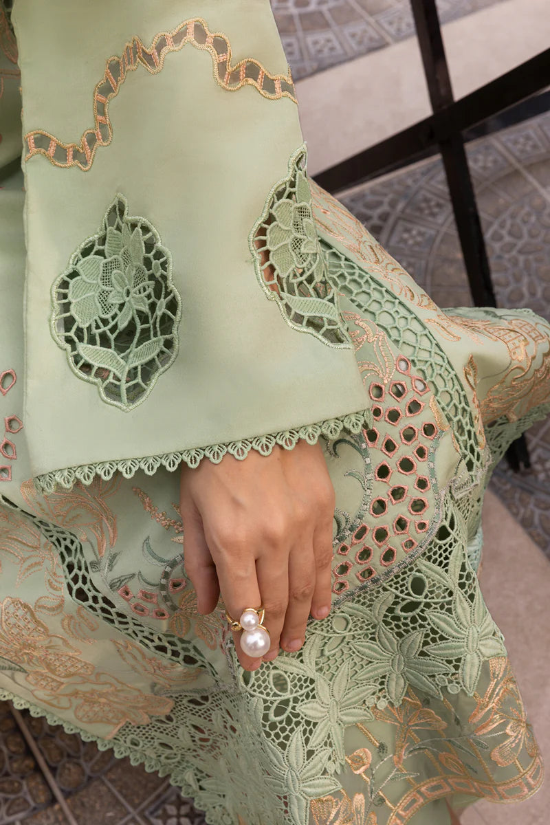 Rang Rasia | Carnation | Areha