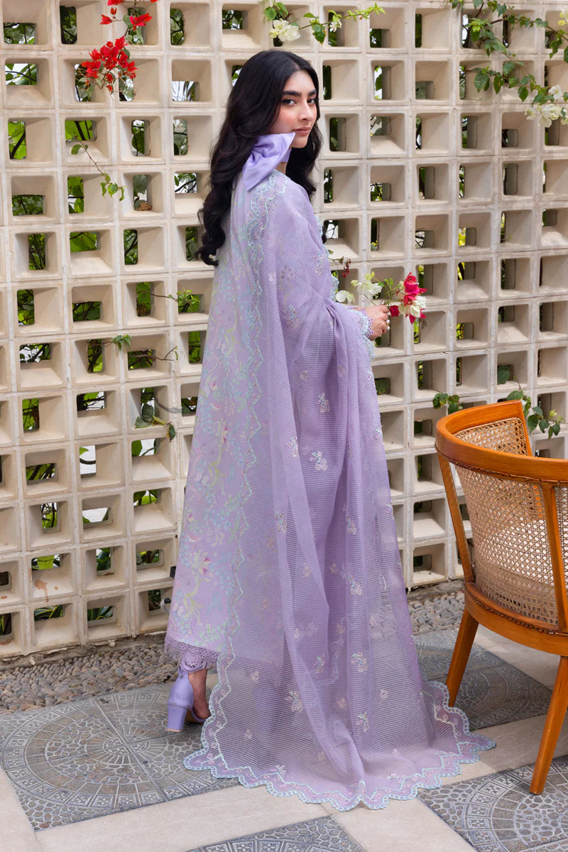 Rang Rasia | Carnation | Lily