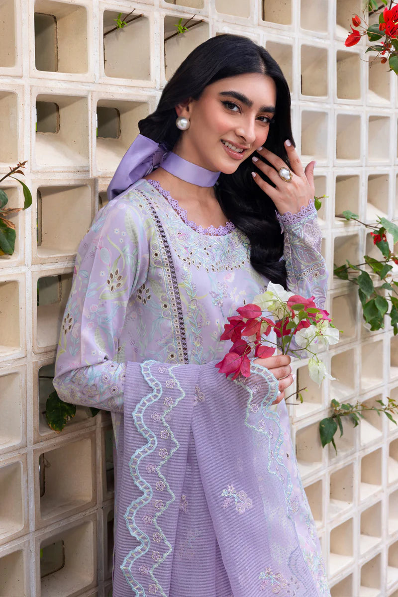 Rang Rasia | Carnation | Lily