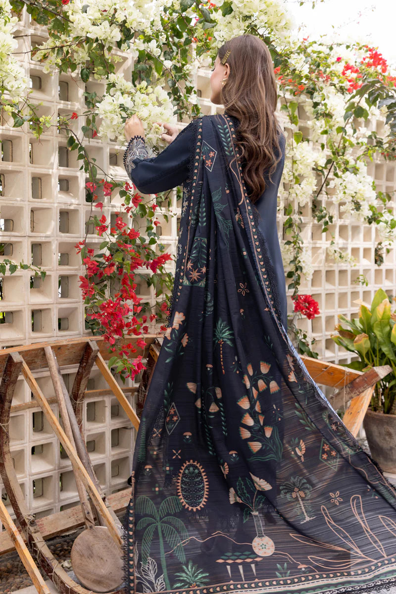 Rang Rasia | Carnation | Liaro