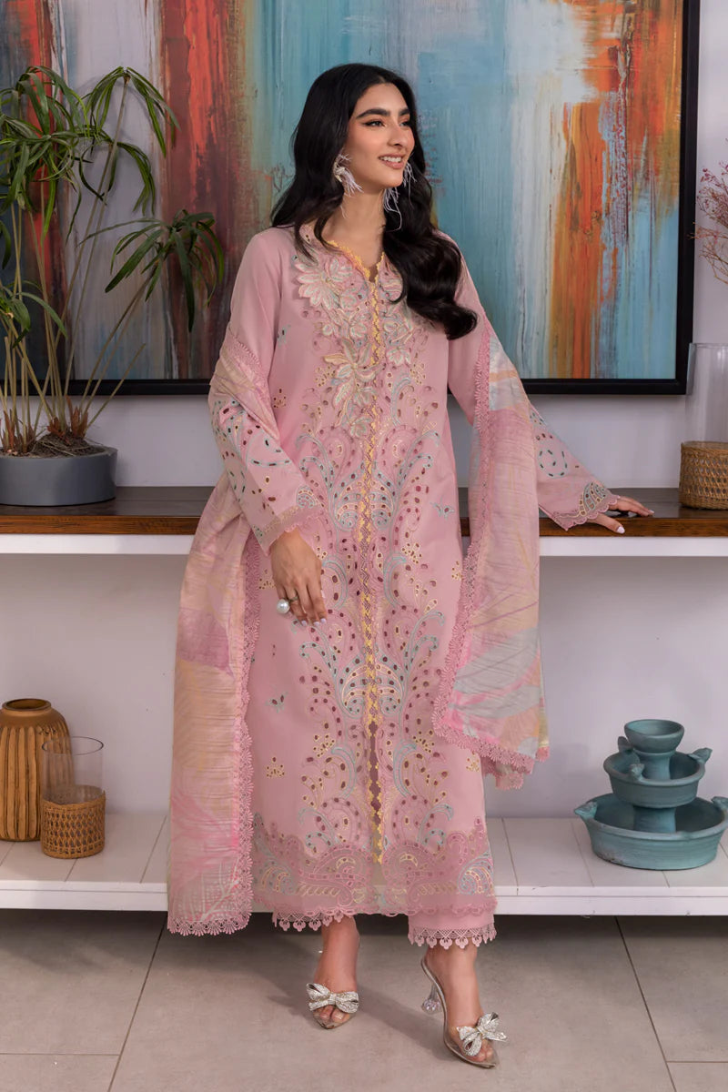 Rang Rasia | Carnation | Irha