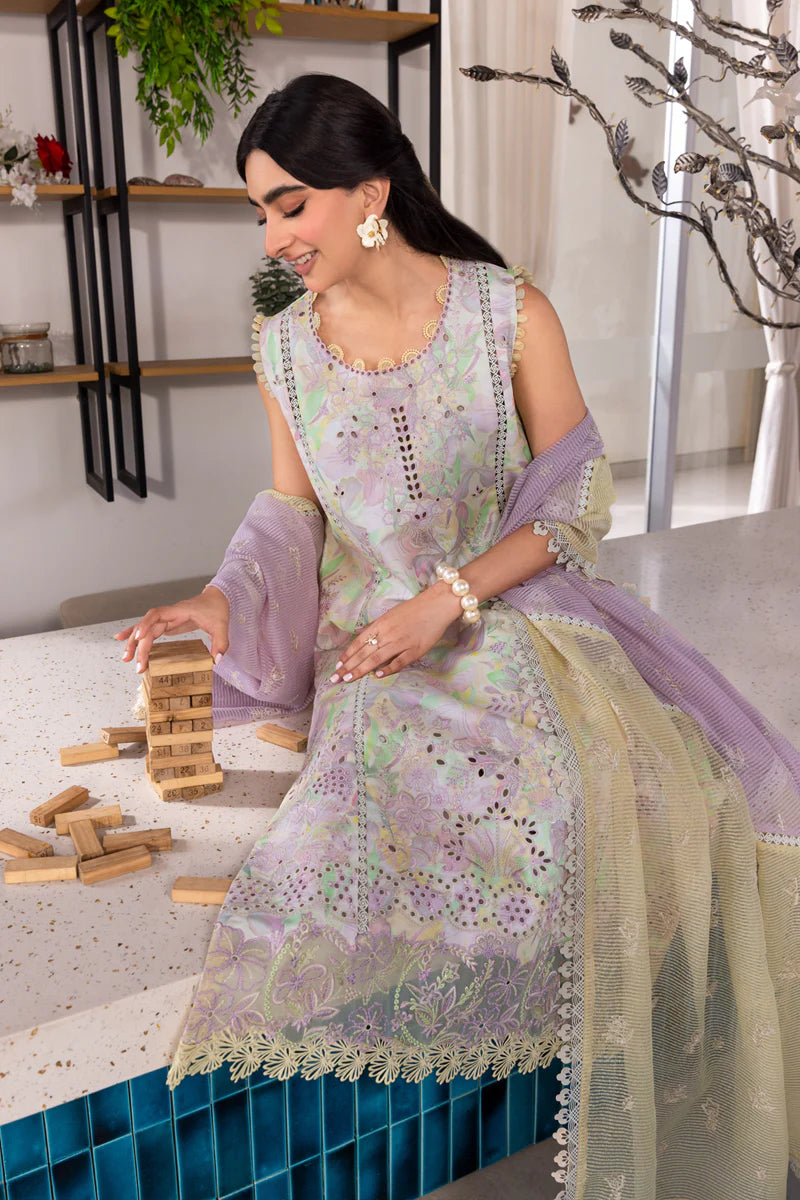 Rang Rasia | Carnation | Lara