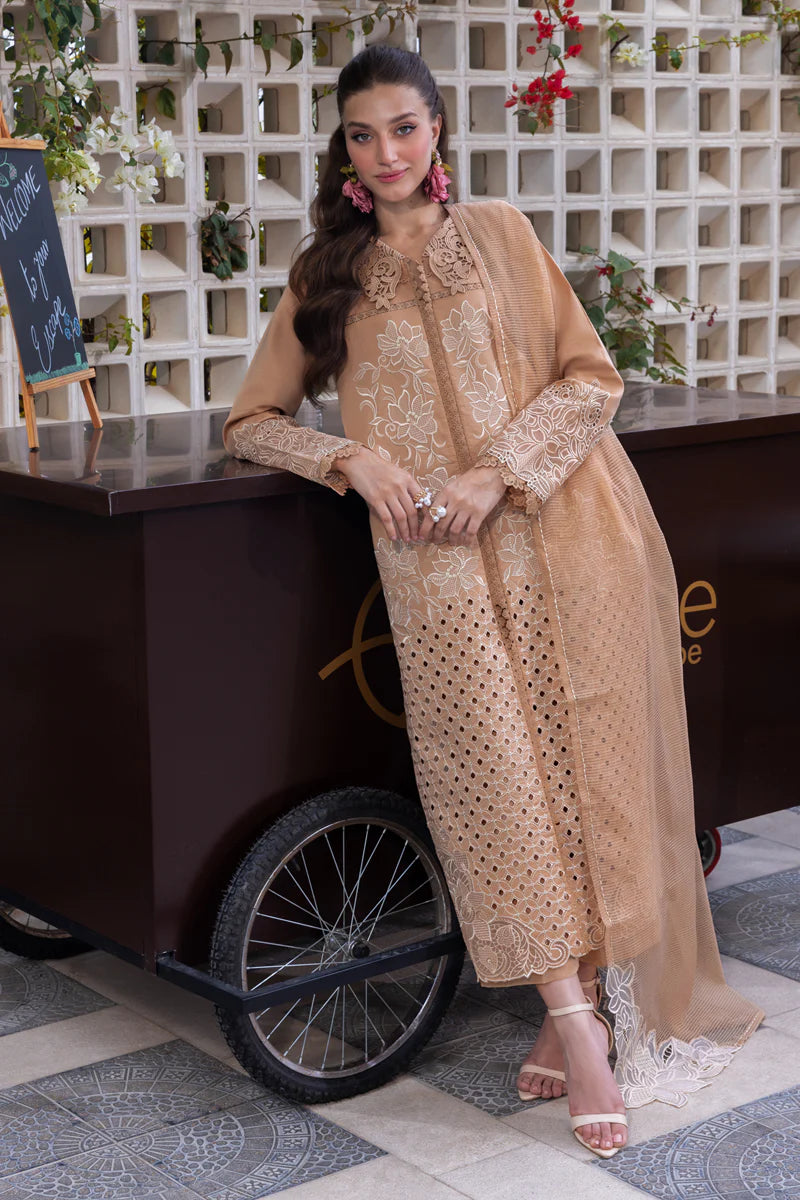 Rang Rasia | Carnation | Kaia