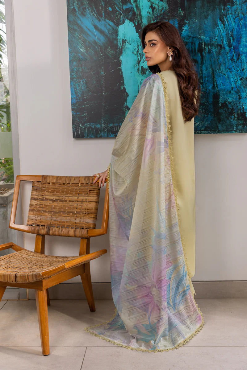 Rang Rasia | Carnation | Nora