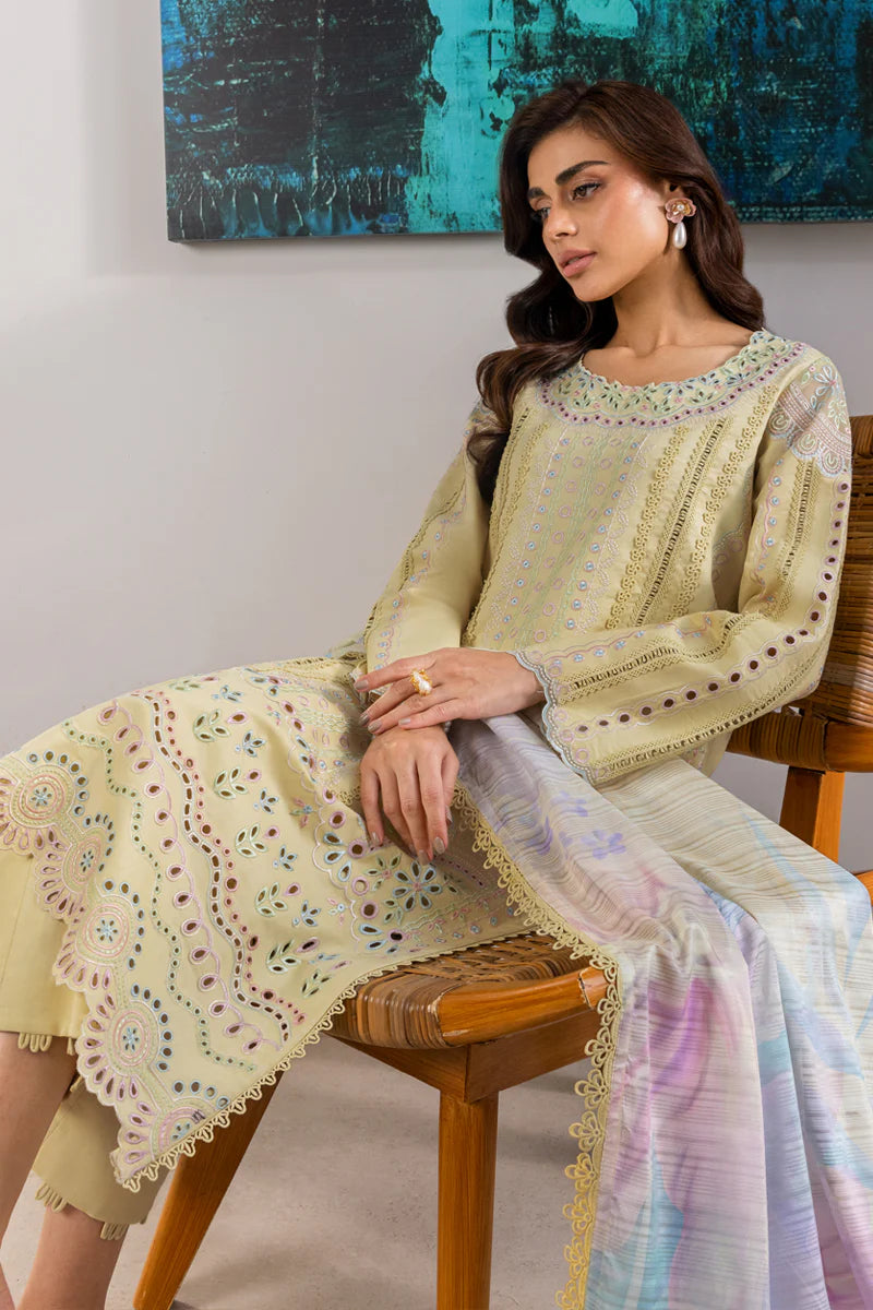 Rang Rasia | Carnation | Nora