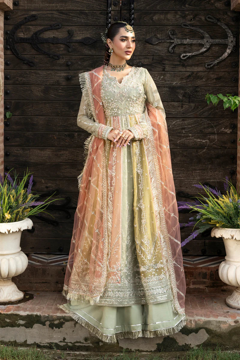 RANG RASIYA | WEDDING FORMALS | Amil