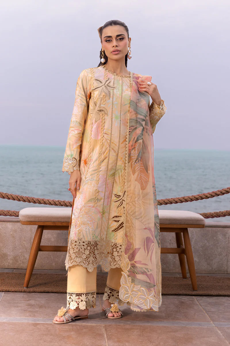 Rang Rasia | Carnation | Ezra