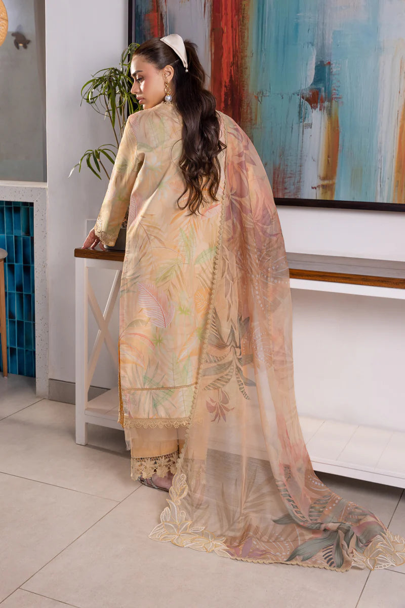 Rang Rasia | Carnation | Ezra