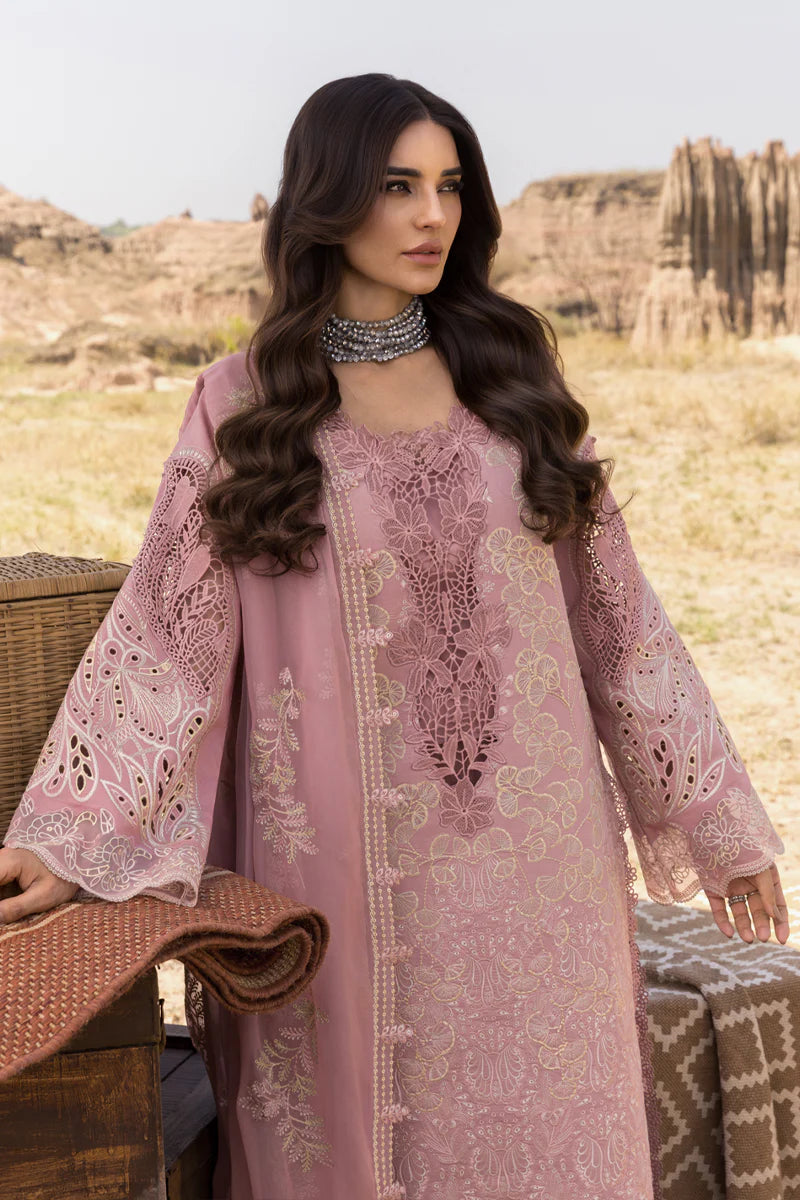 Rang Rasiya | Premium Eid Collection | Aysel