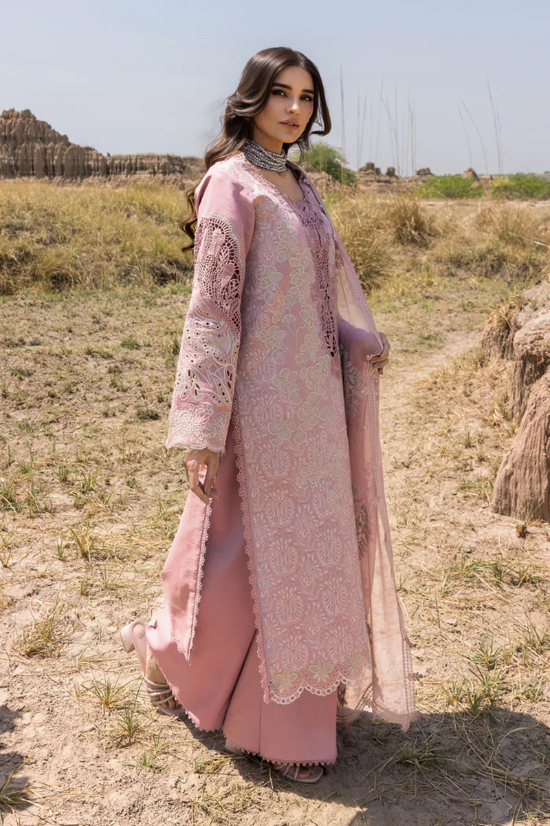 Rang Rasiya | Premium Eid Collection | Aysel