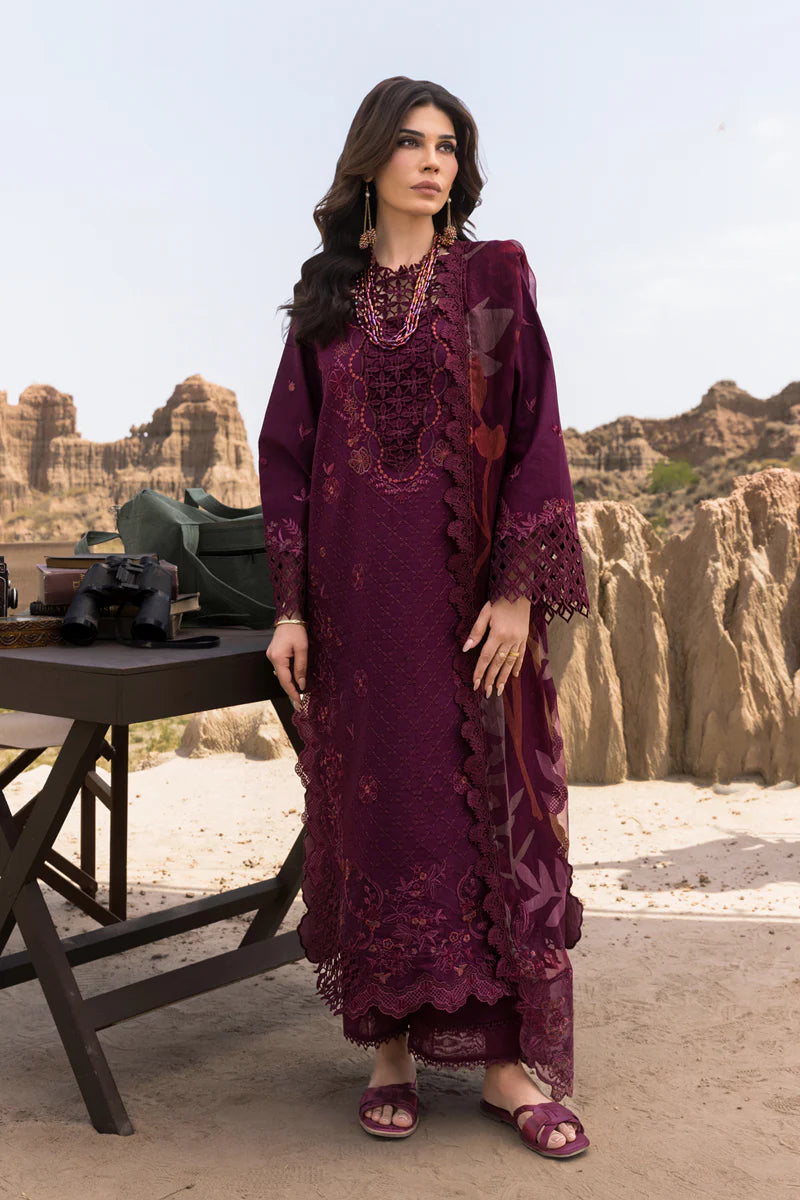 Rang Rasiya | Premium Eid Collection | Amyra