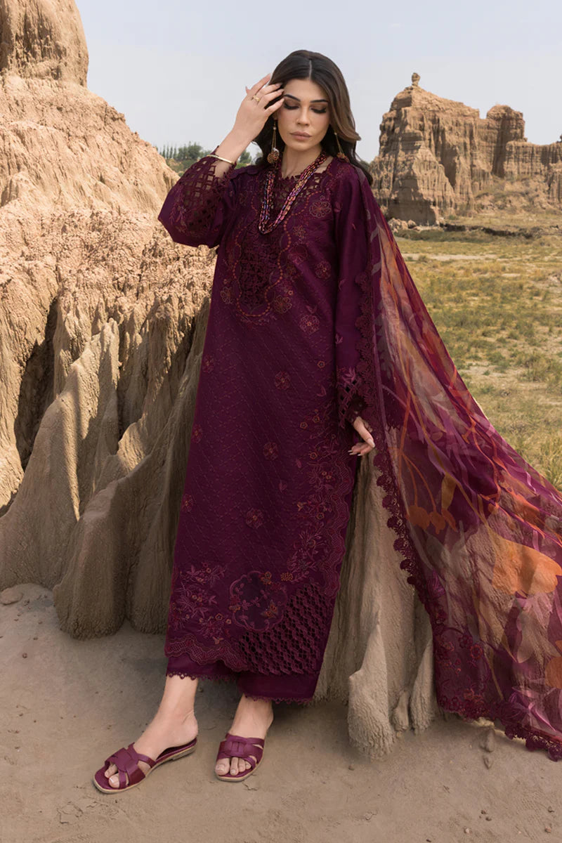 Rang Rasiya | Premium Eid Collection | Amyra