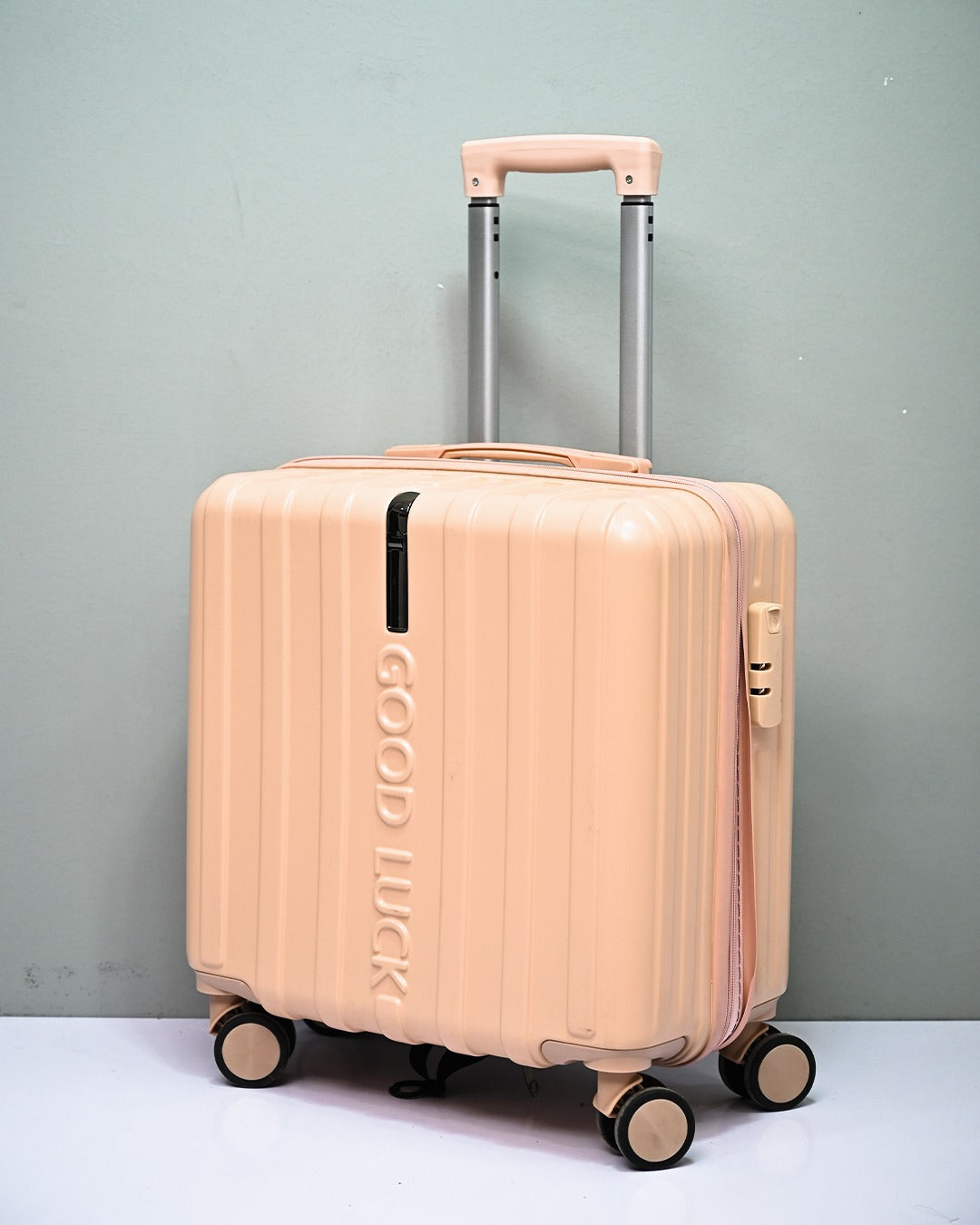 TRAVEL BAG | D11