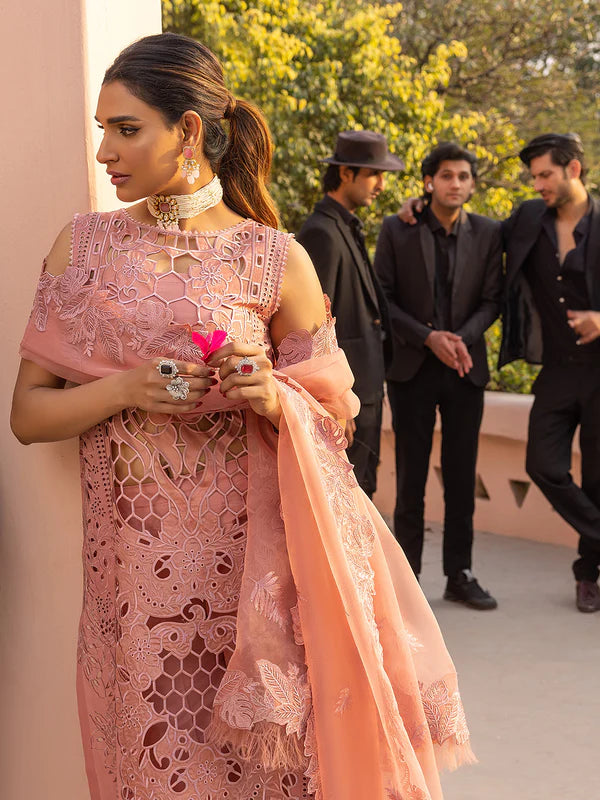Bin Ilyas | Cheri Festive lawn | 708 - A