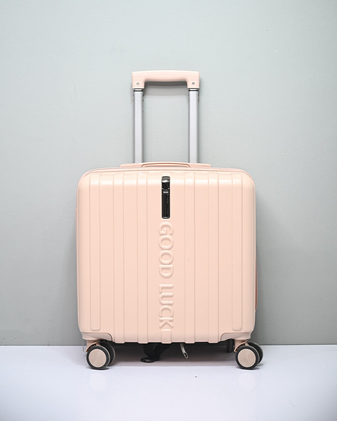 TRAVEL BAG | D11