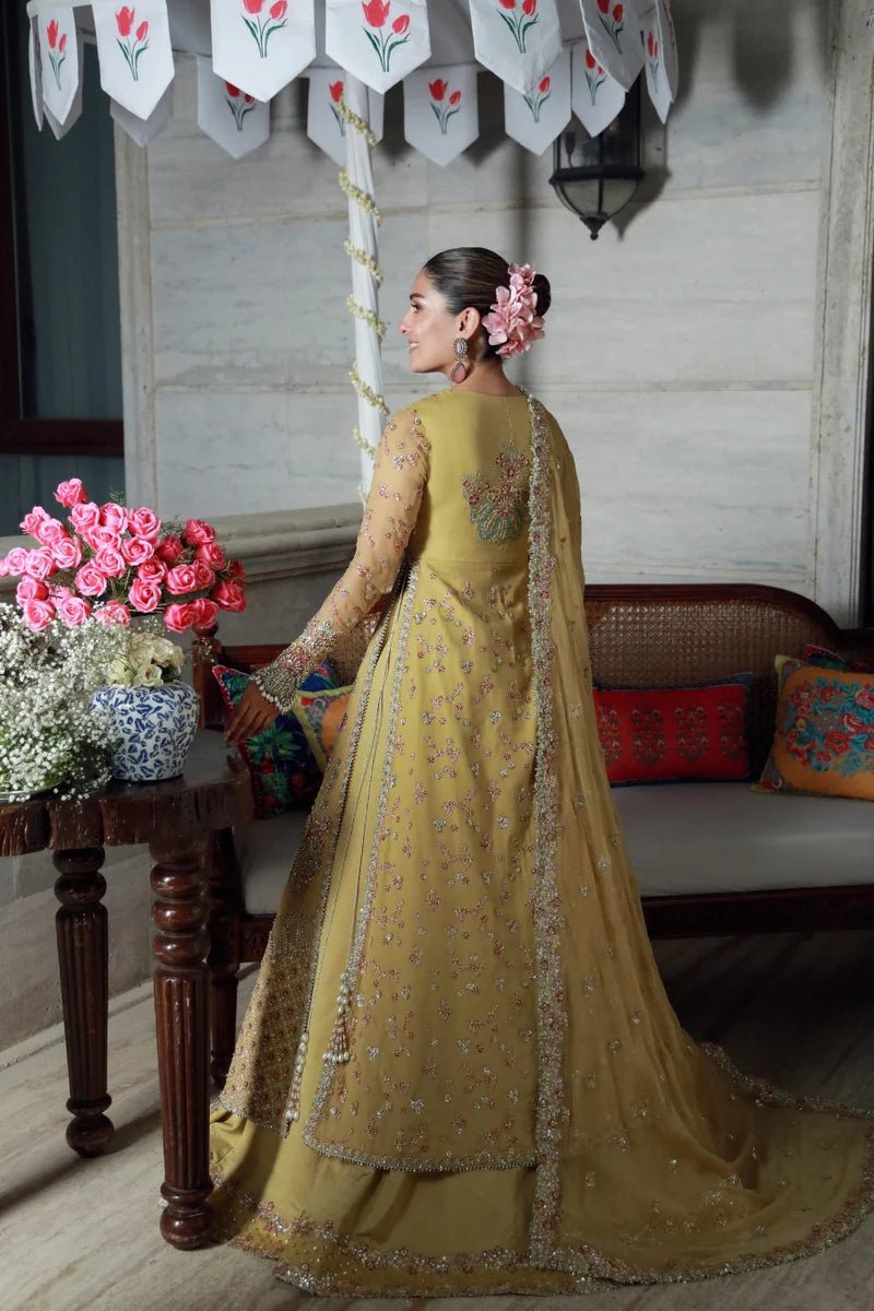 GULMINA | FESTIVE | AYEZA