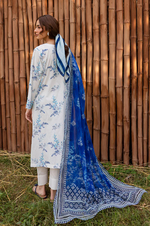 Rashid | Bagh lawn 25 | D10
