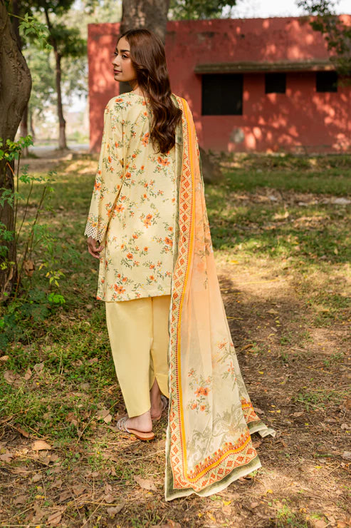 Rashid | Bagh lawn 25 | D2