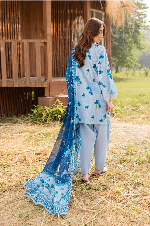 Rashid | Bagh lawn 25 | D3