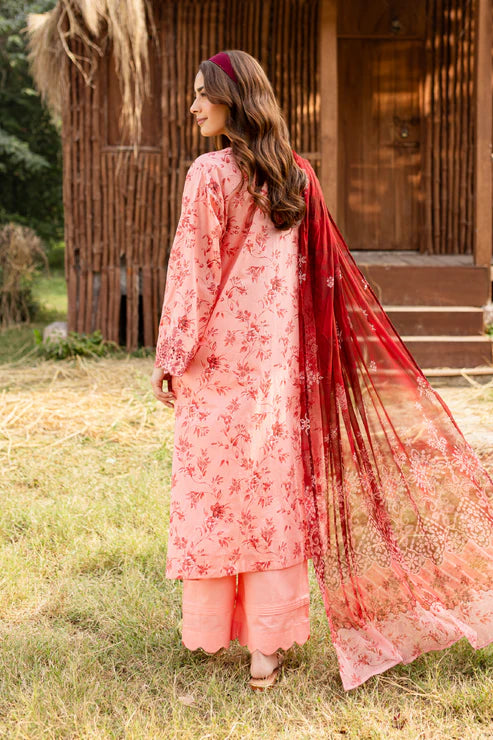 Rashid | Bagh lawn 25 | D6