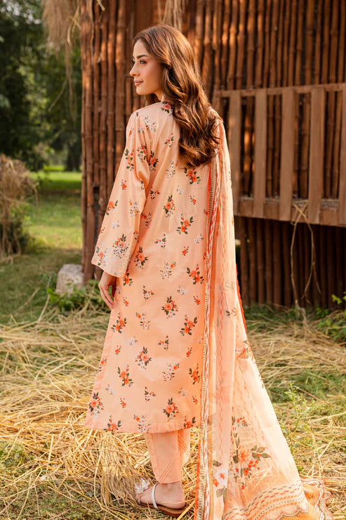 Rashid | Bagh lawn 25 | D8