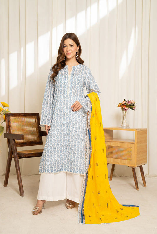 COCO BY ZSJ | SULE PRINTED LAWN 25 | D11