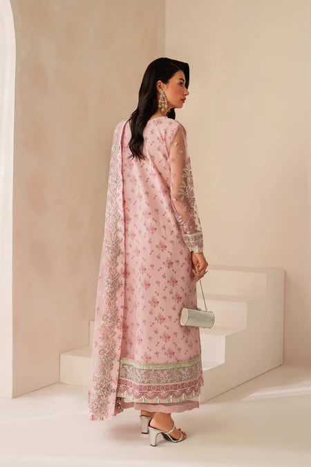 XENIA | LUXURY CHIFFON | ASHAL