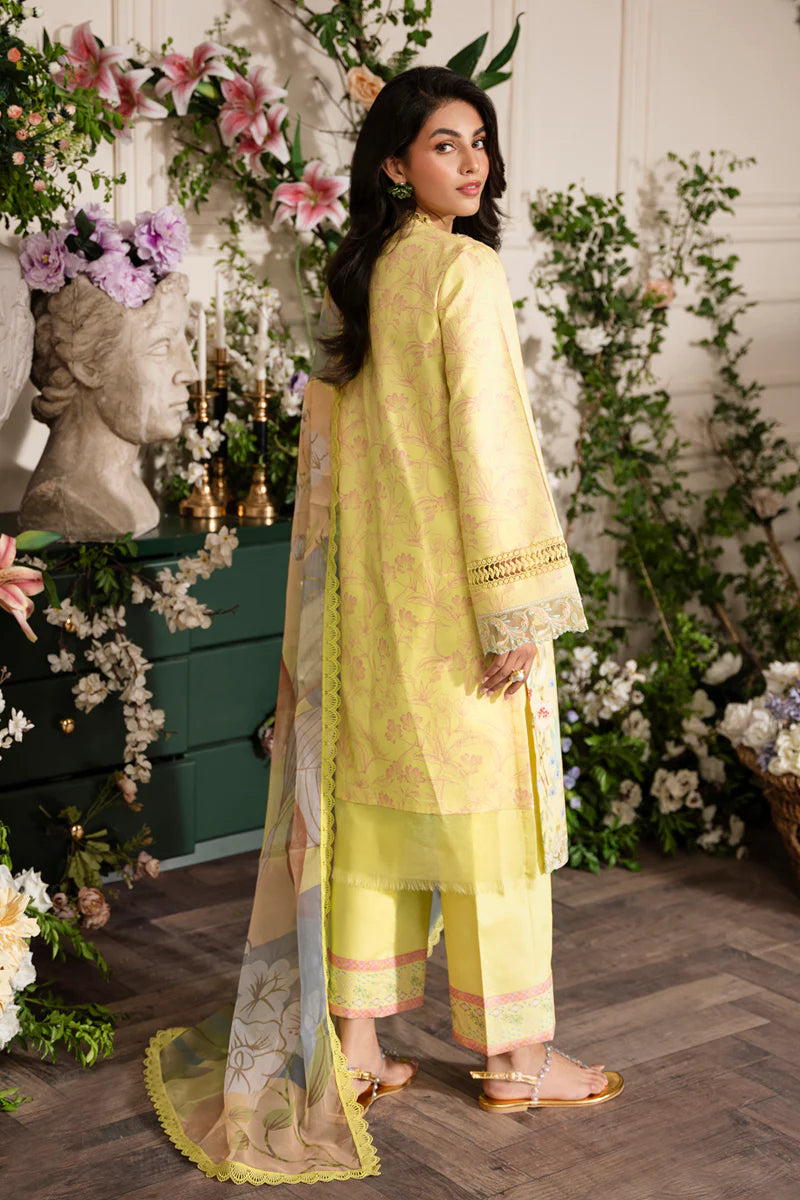 Rang Rasiya | Lifestyle Embroidered Edit '24 | Sun Kissed