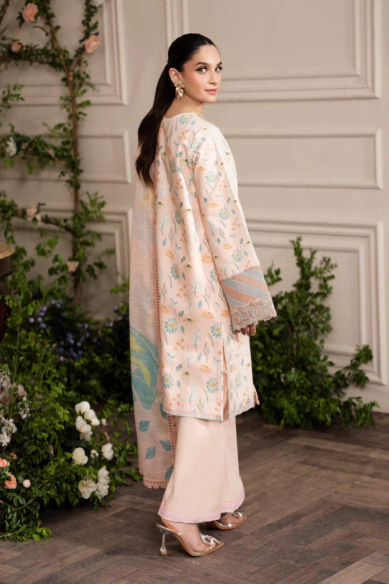 Rang Rasiya | Lifestyle Embroidered Edit '24 | Blush