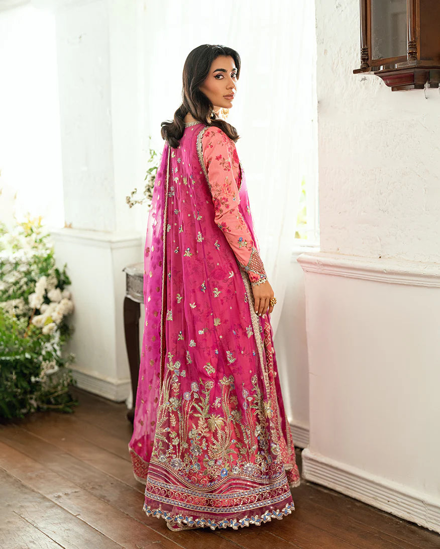 MUSHQ | FESTIVE CHIFFON | Geet Gulabi
