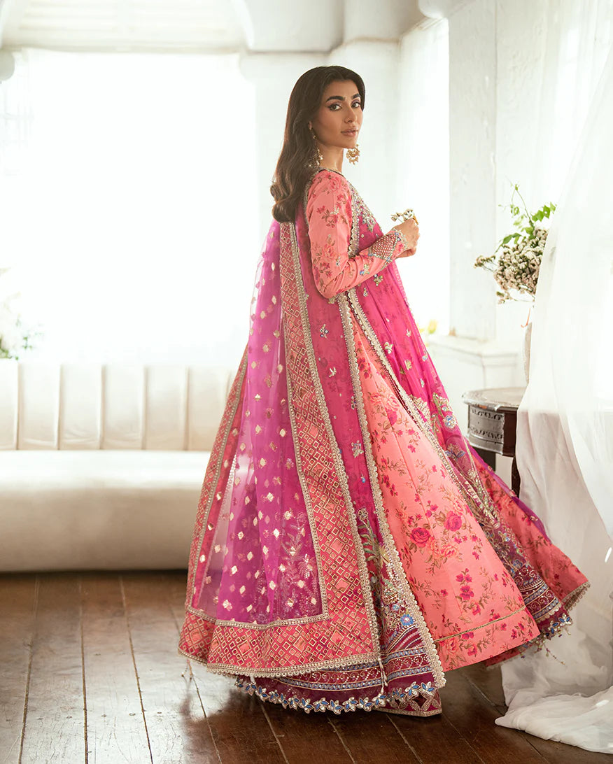 MUSHQ | FESTIVE CHIFFON | Geet Gulabi
