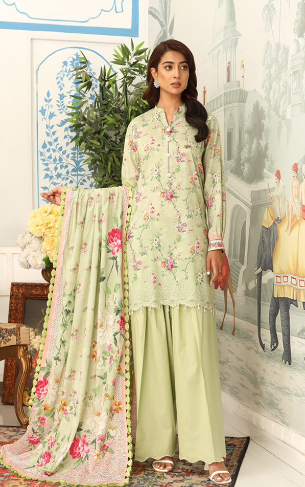 MAUSMMERY | LAWN 25 | D07