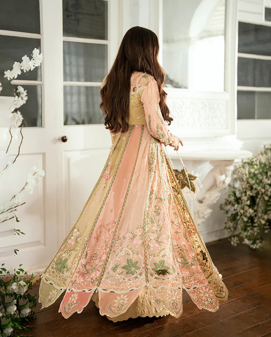 MUSHQ | FESTIVE CHIFFON | Sur Sunehri