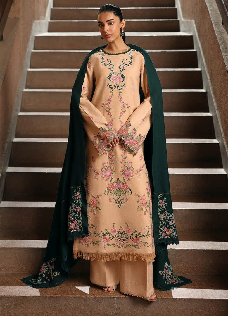 RAJBARI | WINTER PREMIUM | 07