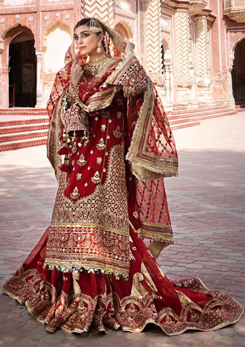MNR | Zarlish | BIYA BEGUM