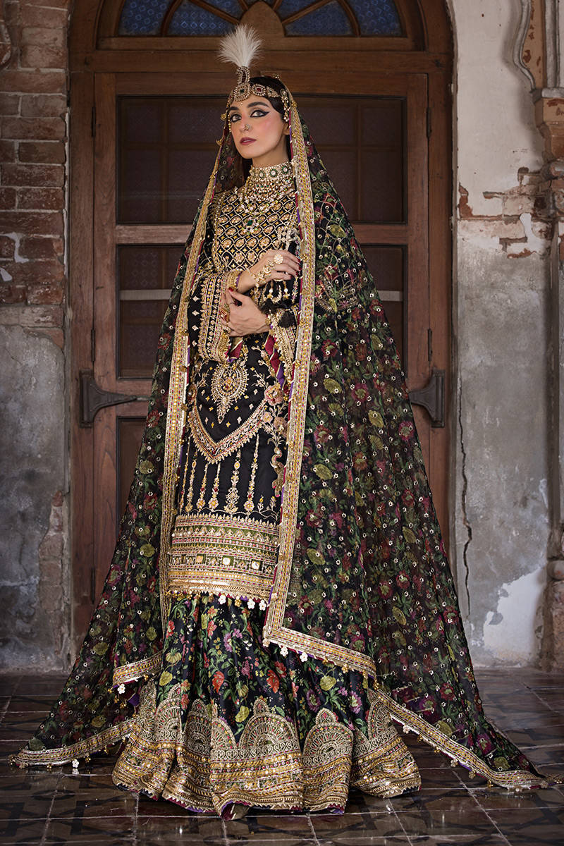 MNR | Zarlish | KOYAL