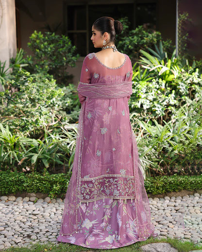 ROHEENAZ | FESTIVE | AROOJ