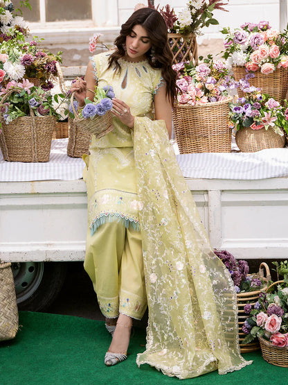 Bin Ilyas | Luxury Lawn | Clara