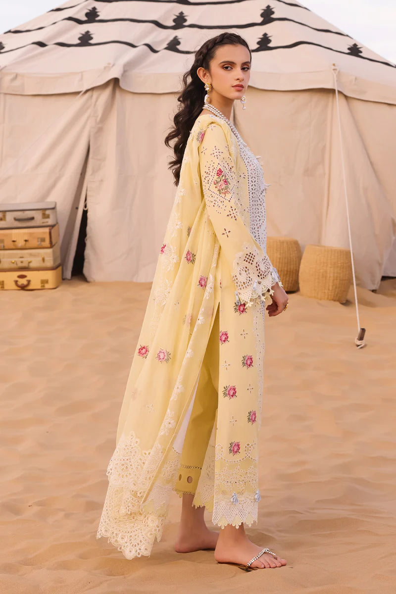 Qalamkar | Lawn | NIAMH
