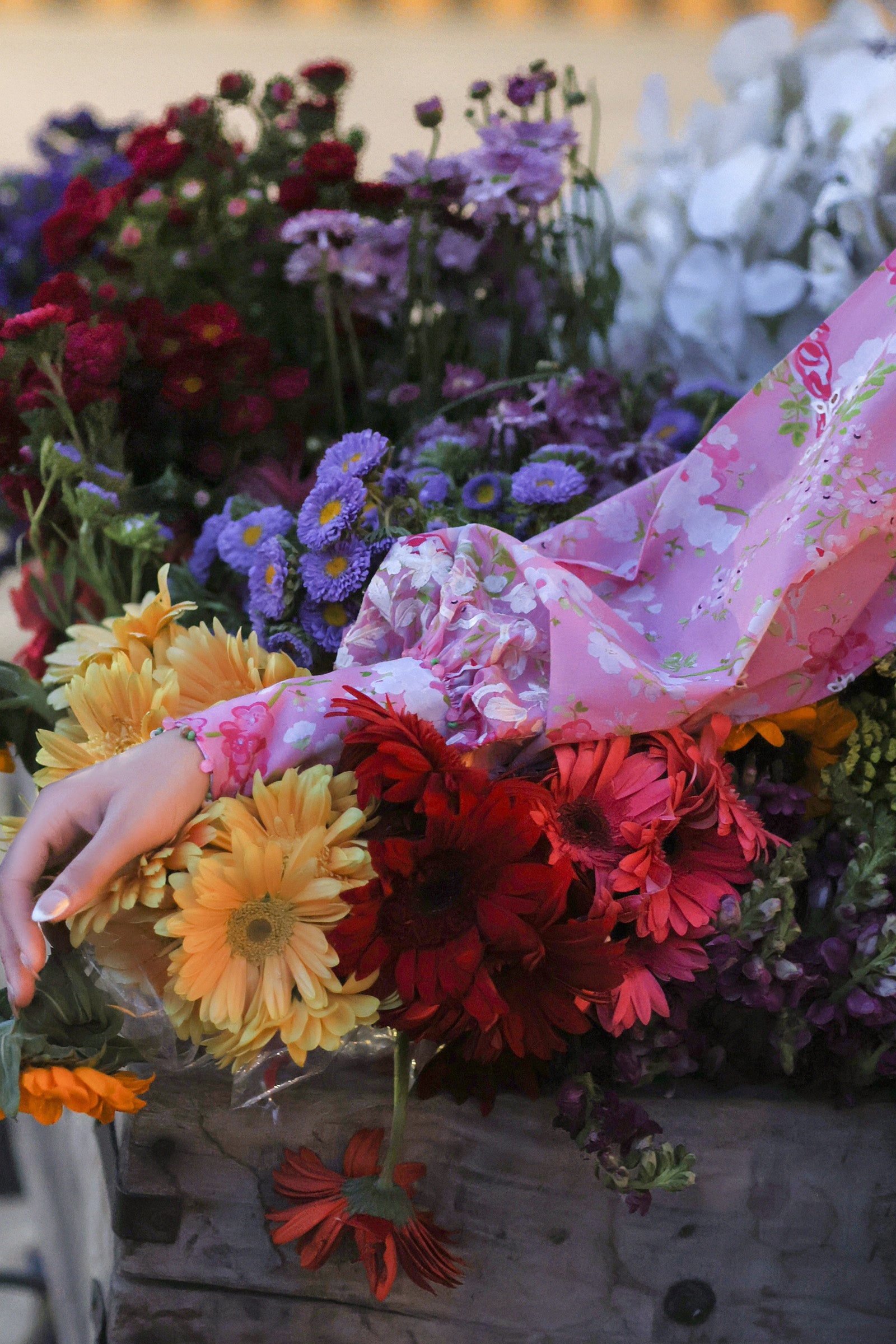 Zaha | Wildflower Festive Lawn 26 | Peony Reverie