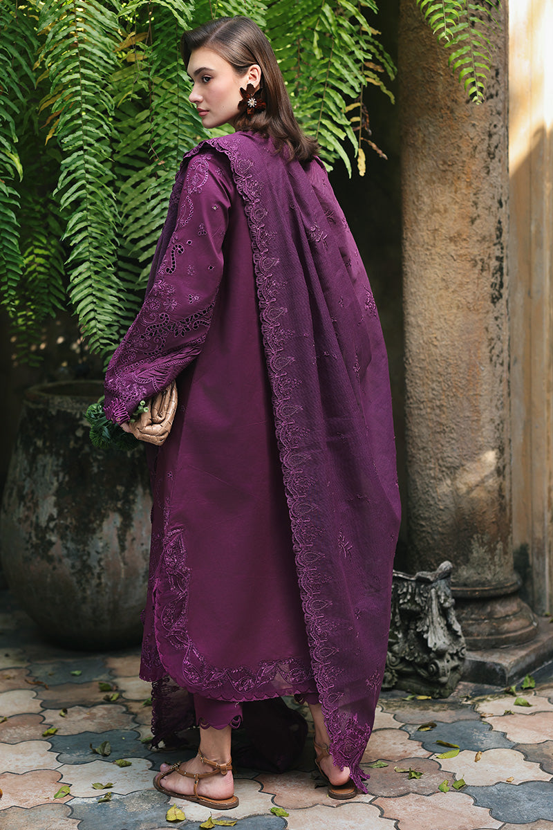 QALAMKAR | QLINE LAWN DROP 1 | LIORA